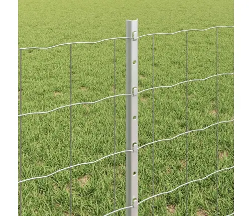 Aed Koos Postiga Hõbedane 0,6 X 10 M Teras