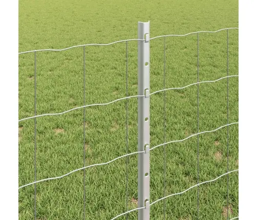 Aed Koos Postiga Hõbedane 0,8 X 10 M Teras