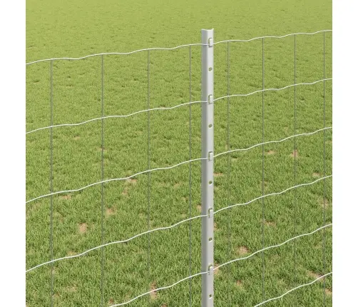 Eiro Žogs Ar 10 U Stabiem Sudraba 1,4X10 M Tērauds Vidaxl