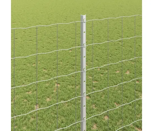 Euro Žogs Ar 10 U Stabiem Sudrabs 1,6X10 M Tērauds Vidaxl