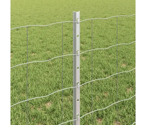 Aed Koos Postiga Hõbedane 0,6 X 10 M Teras