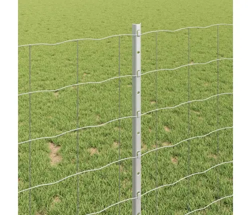 Tvora Su Stulpais Sidabro 1 X 10 M Plienas Tvora Su Stulpais Sidabro 1 X 10 M Plienas