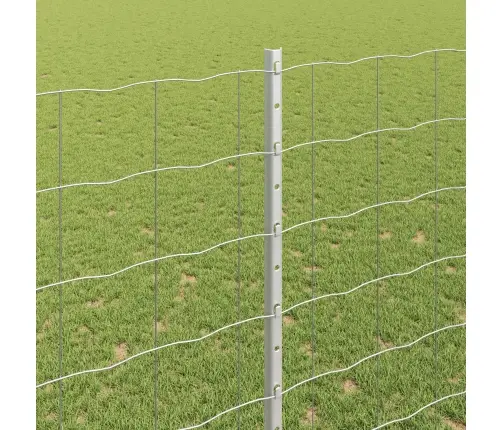 Euro Žogs Ar 10 U Stabiem Sudrabs 1,6X10 M Tērauds Vidaxl