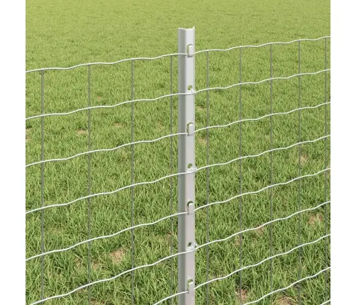 Aed Koos Postiga Hõbedane 0,6 X 25 M Teras