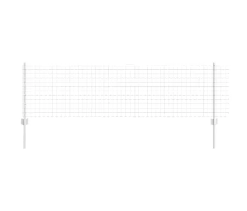 Aed Koos Postiga Hõbedane 0,6 X 25 M Teras