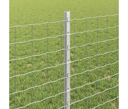 Aed Koos Postiga Hõbedane 0,8 X 25 M Teras