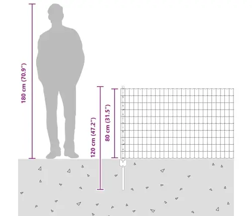 Aed Koos Postiga Hõbedane 0,8 X 25 M Teras