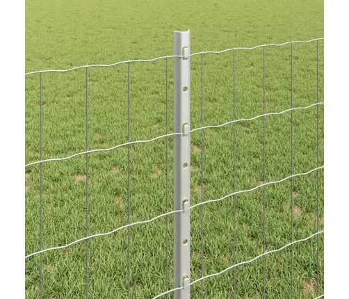 Euro Žogs Ar 11 U Stabiem Sudrabs 0.8X25 M Tērauds Vidaxl Euro Žogs Ar 11 U Stabiem Sudrabs 0.8X25 M Tērauds Vidaxl