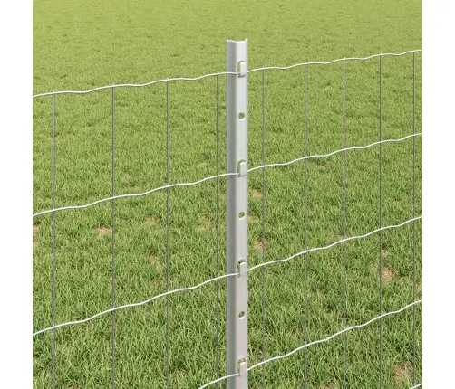 Euro Žogs Ar 11 U Stabiem Sudrabs 0.8X25 M Tērauds Vidaxl