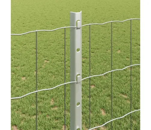 Aed Koos Postiga Hõbedane 1,2 X 25 M Teras