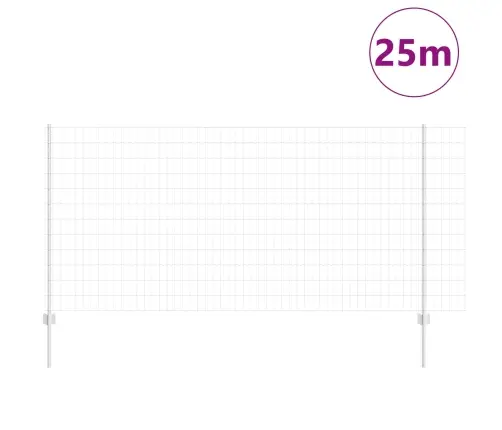 Aed Koos Postiga Hõbedane 1,2 X 25 M Teras