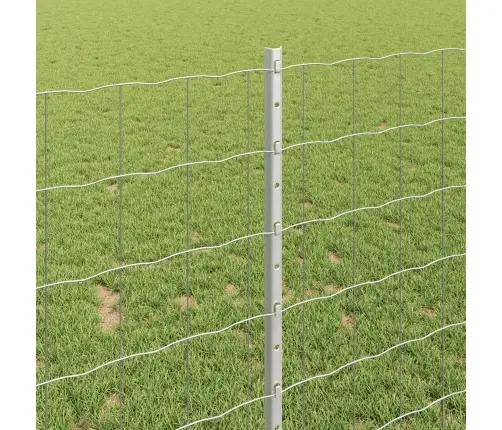 Aed Koos Postiga Hõbedane 1 X 25 M Teras