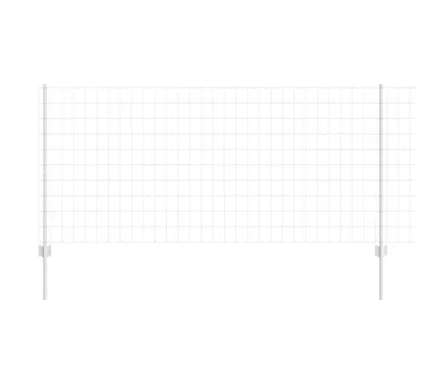 Aed Koos Postiga Hõbedane 1 X 25 M Teras