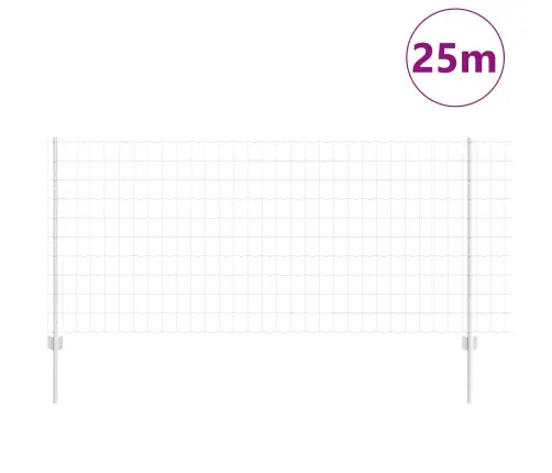Aed Koos Postiga Hõbedane 1 X 25 M Teras