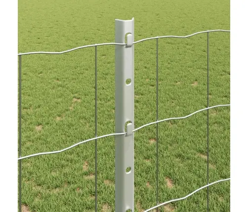 Euro Žogs Ar 22 U Stabiem Sudrabs 1,2X25 M Tērauds Vidaxl