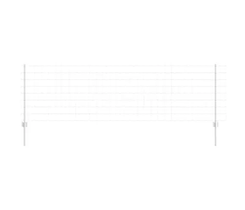 Aed Koos Postidega Hõbedane 0.8 X 25 M Teras