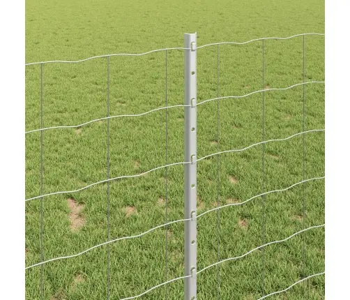 Tvora Su Stulpais Sidabro 1 X 25 M Plienas