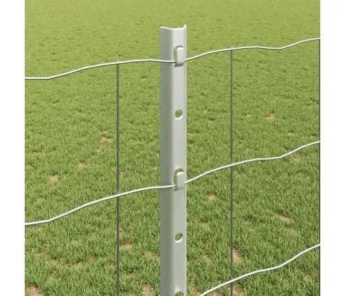 Aed Koos Postiga Hõbedane 1,2 X 25 M Teras