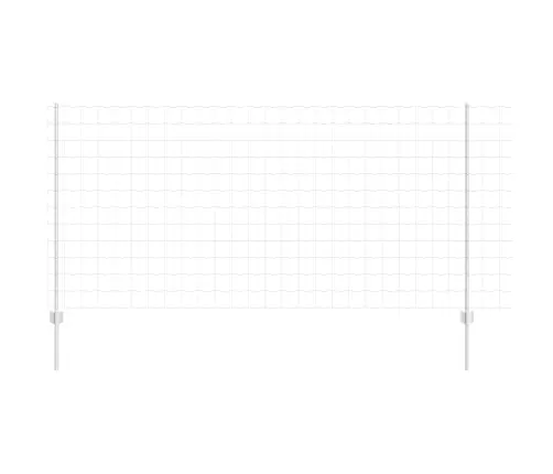 Aed Koos Postiga Hõbedane 1,2 X 25 M Teras