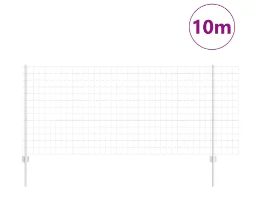 Eiropas Žogs Ar 10 U Stabiem Sudrabs 1X10 M Tērauds Vidaxl
