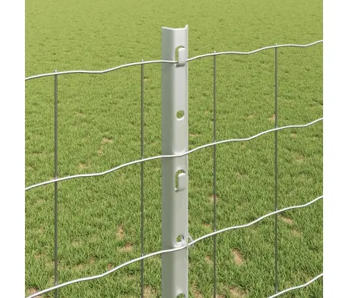 Aed Koos Postiga Hõbedane 1,2 X 10 M Teras