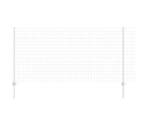 Aed Ja Post Hõbedane 1,2 X 10 M Teras