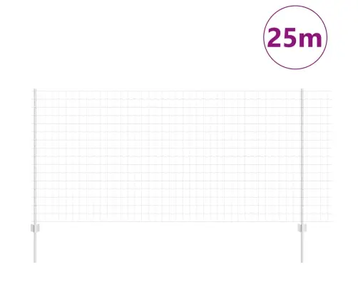 Aed Koos Postiga Hõbedane 1,2 X 25 M Teras