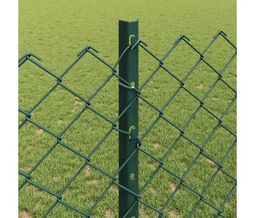 Aed Koos Postiga Roheline 1,2 X 10 M Terased Ja Pvc