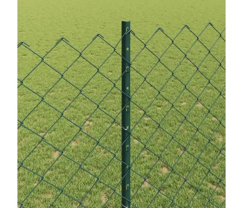 Aed Koos Postiga Roheline 1,4 X 10 M Terased Ja Pvc