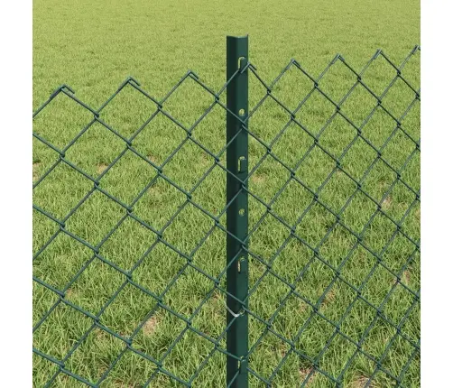 Aed Koos Postiga Roheline 0,6 X 25 M Terased Ja Pvc