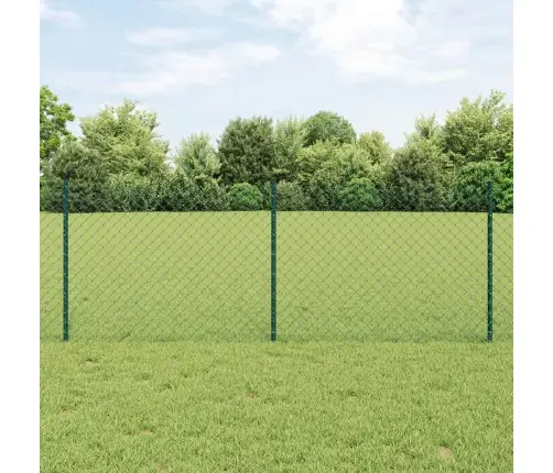 Čaulas Žogs Ar 22 U Stabiem Zaļš 0.8X25 M Tērauds Vidaxl