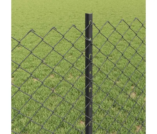 Žoga Tīkls Ar 10 U Stabiem Pelēkā Krāsā 0.8X10 M Tērauda Vidaxl