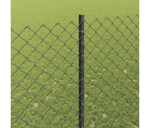 Aed Koos Postiga Hall 1,6 X 10 M Terased Ja Pvc