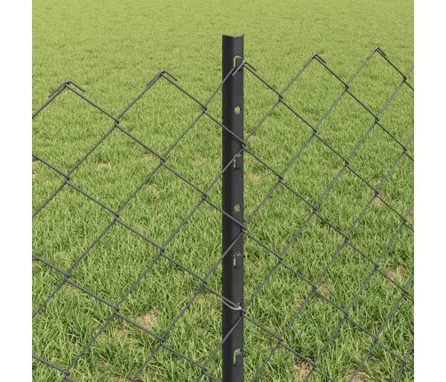 Saites Žogs Ar 10 U Stabiem Pelēkā Krāsā 0.6X10 M Tērauda Vidaxl