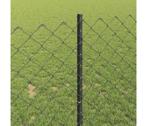 Aed Koos Postiga Hall 1 X 10 M Terased Ja Pvc