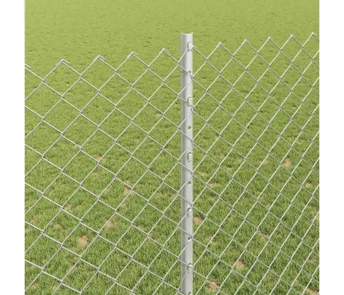 Aed Koos Postiga Hõbedane 1,5 X 10 M Teras