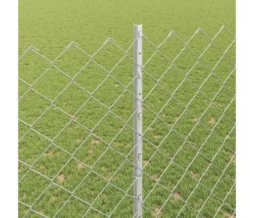 Sānisko Režga Žogs Ar 20 U Statņiem Sudraba 1.5X10 M Tērauds Vidaxl