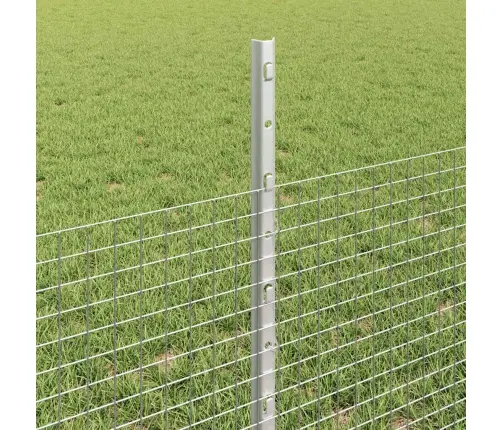 Aed Koos Postiga Hõbedane 0,5 X 10 M Teras