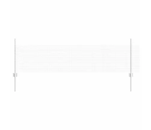 Aed Koos Postiga Hõbedane 0,5 X 10 M Teras