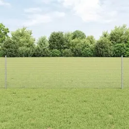 Aed Koos Postidega Hõbedane 0.6 X 10 M Teras