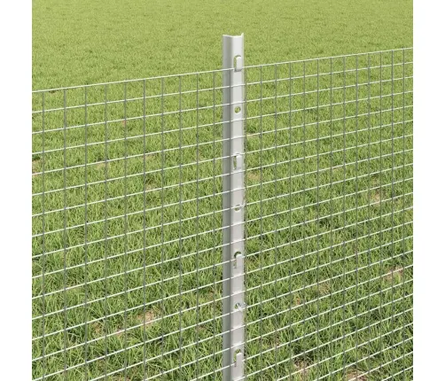 Aed Koos Postidega Hõbedane 0.6 X 10 M Teras