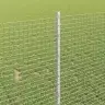 Aed Koos Postidega Hõbedane 1 X 10 M Teras