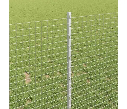 Tvora Ir Stulpas Sidabro 1 X 10 M Plienas