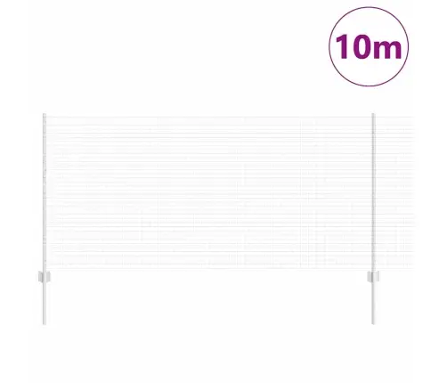 Tvora Ir Stulpas Sidabro 1 X 10 M Plienas