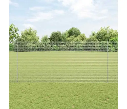 Aed Koos Postiga Hõbedane 1,4 X 10 M Teras