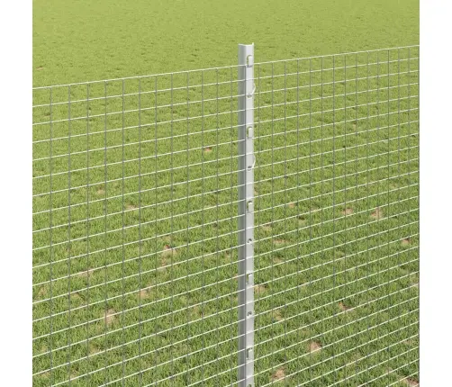 Aed Koos Postiga Hõbedane 1,5 X 10 M Teras