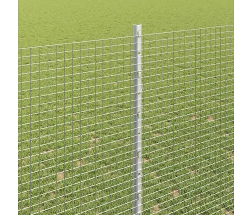 Aed Koos Postiga Hõbedane 1,6 X 10 M Teras