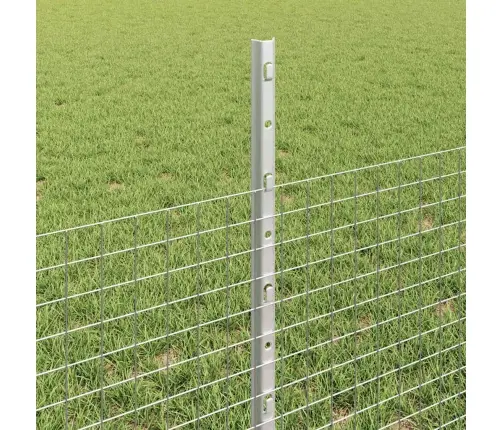 Aed Koos Postidega Hõbedane 0.5 X 25 M Teras