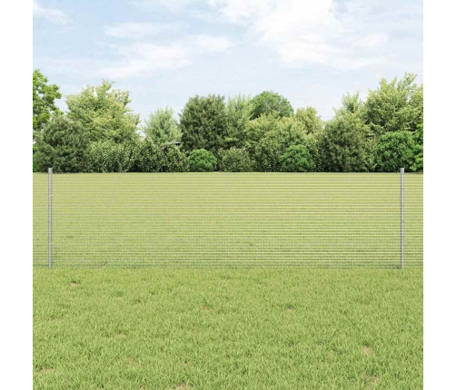 Aed Koos Postidega Hõbedane 0.6 X 25 M Teras