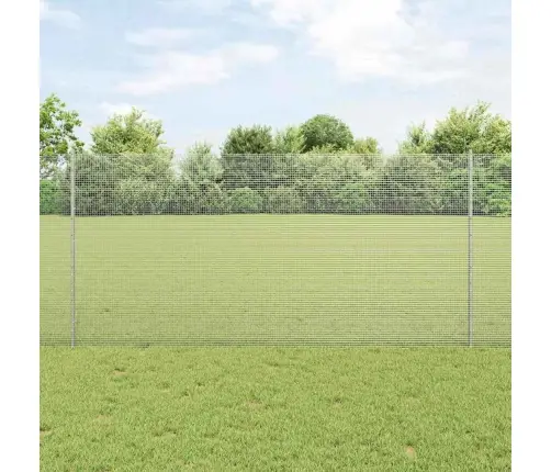 Tvora Ir Stulpas Sidabro 1,2 X 25 M Plienas